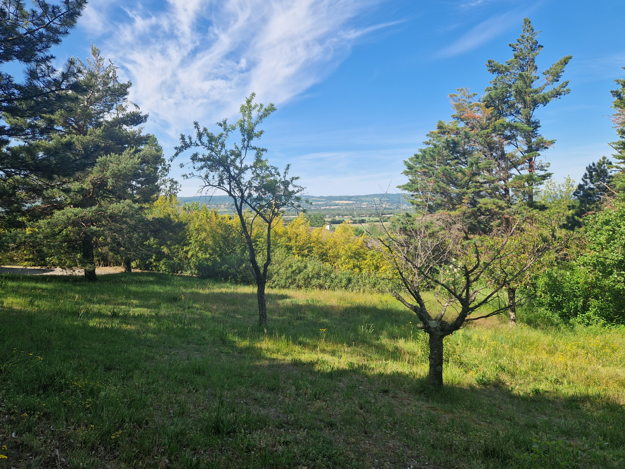 Site_Korine_Olivier_Valence_Terrain