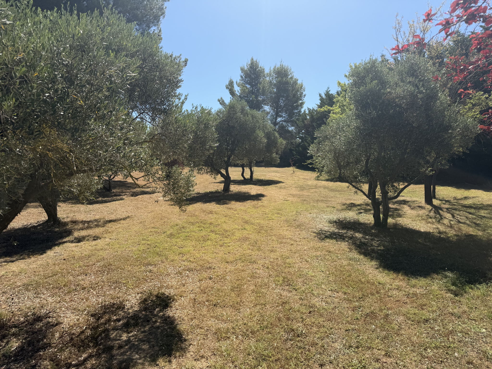 Aix-en-Provence NORD : Maison d’environ 140 m2 dont dépendan