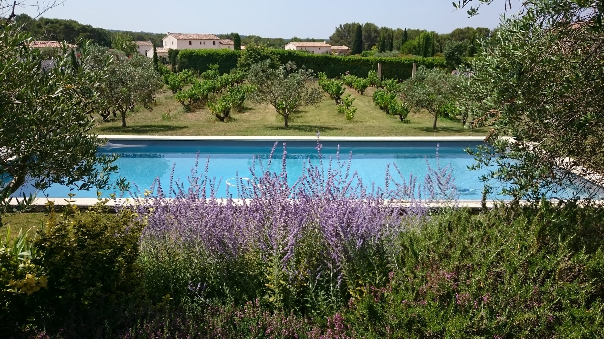 photo_33a01d93ad5ac5e4a959aeec6e83f092-107566-0.jpg SAINT-CANNAT – Maison de type 6 avec terrasse, jardin, pisci