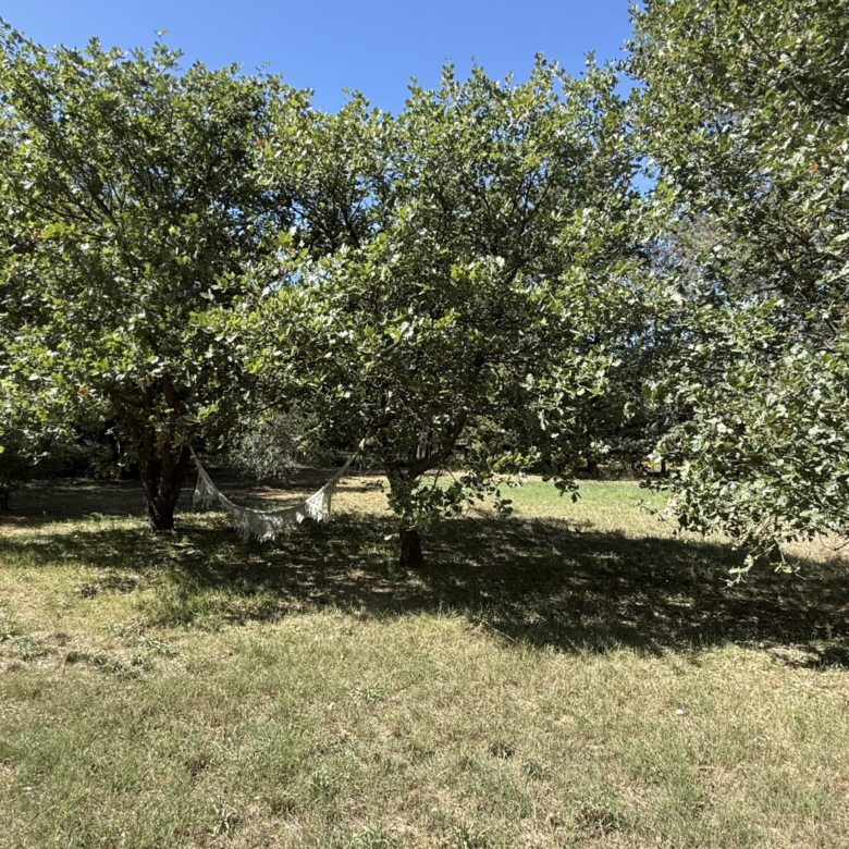 780