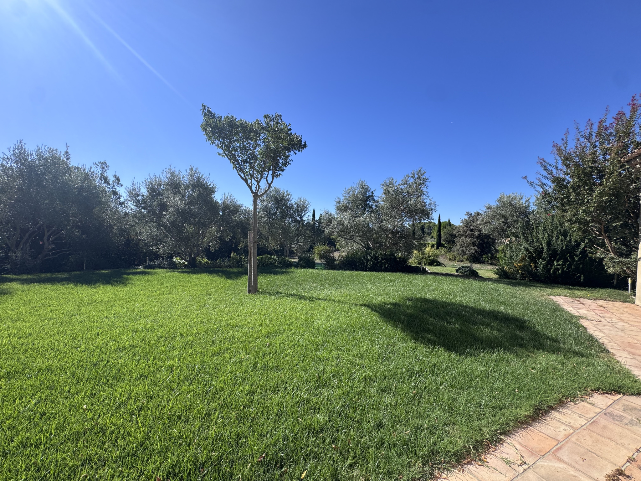 photo_9e20ca8b7736c2b1e248aeb4f82e3a3a-107566-0.jpg SAINT-CANNAT – Maison de type 6 avec terrasse, jardin, pisci