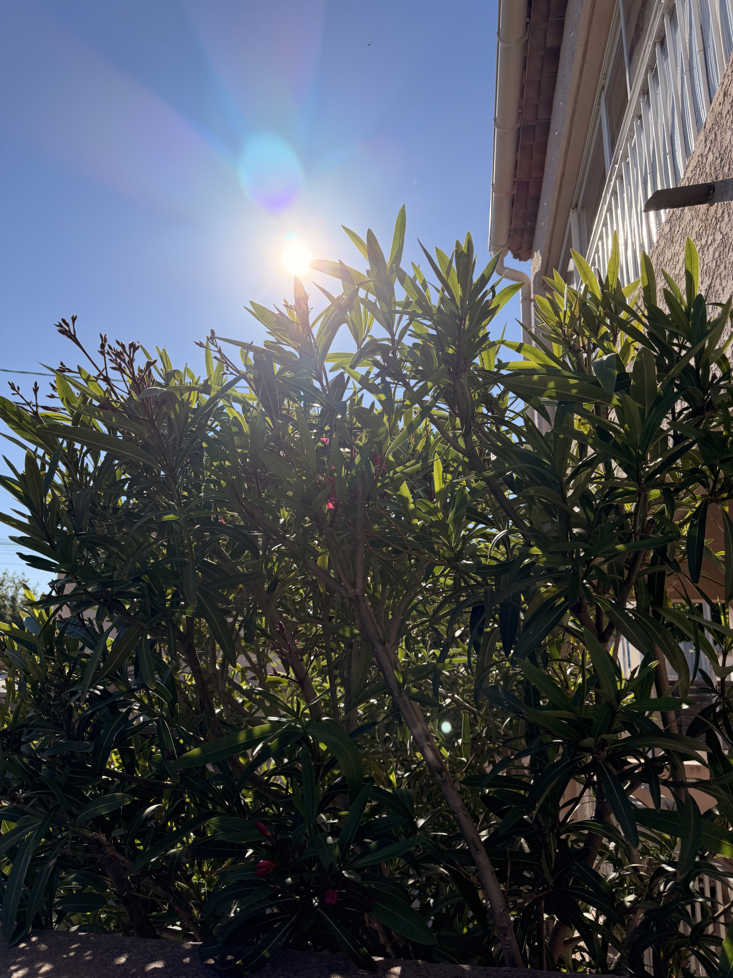 Confort de vie en bord de mer   Appartement lumineux avec ba