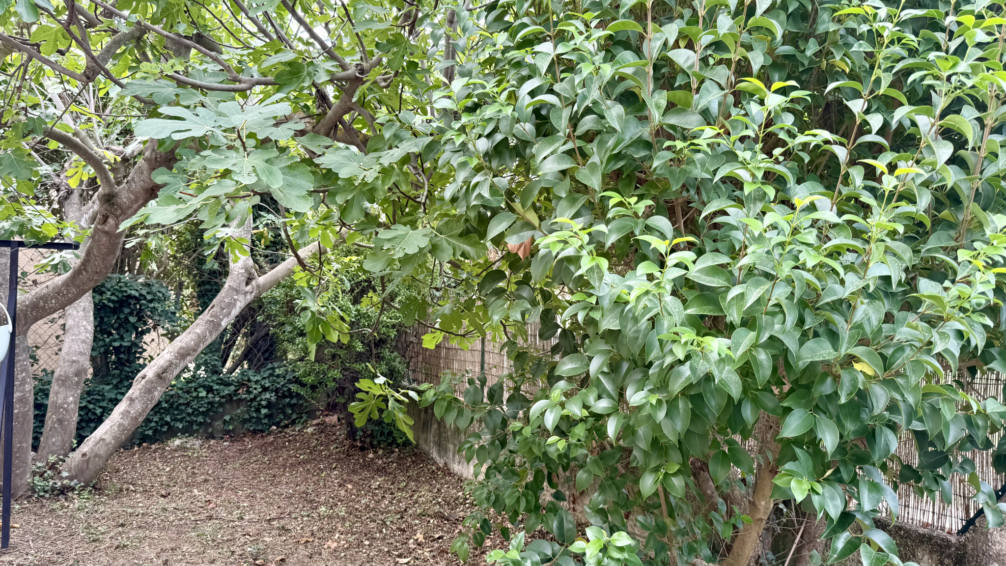 AIX EN PROVENCE – LES MILLES : ANCIENNE FERME PROVENCALE AVE